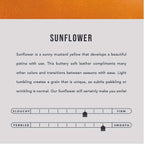 Women's Bifold Wallet