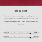 Butterfly Bucket Bag