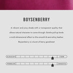 Leather Wrap Journal