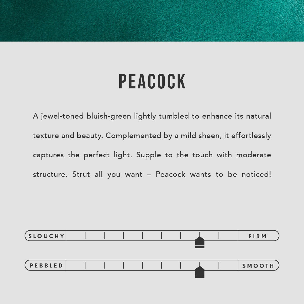 Leather Modern Passport Holder