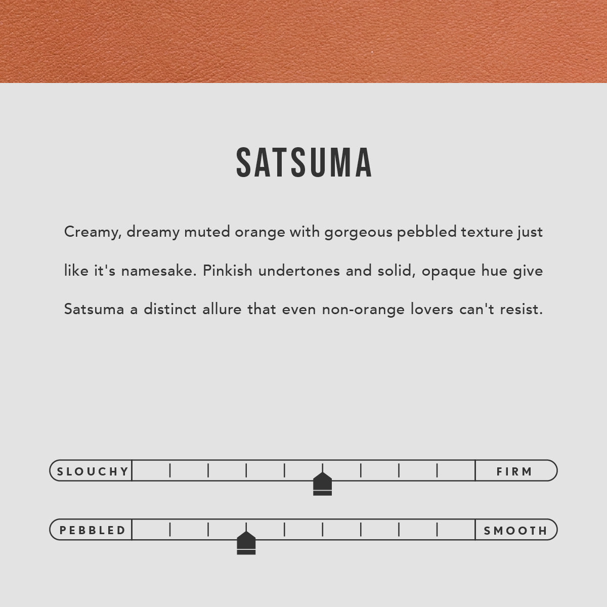 'Almost Perfect' The Sidekick Pouch