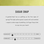 'Almost Perfect' Eclipse Makeup Bag